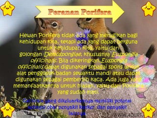 Hewan Porifera tidak ada yang merugikan bagi
   kehidupan kita, tetapi ada yang dapat berguna
          untuk kehidupan ki...