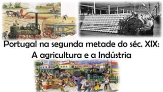 Portugal na segunda metade do séc. XIX:
A agricultura e a Indústria
 