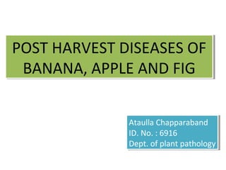 POST HARVEST DISEASES OF
BANANA, APPLE AND FIG
POST HARVEST DISEASES OF
BANANA, APPLE AND FIG
Ataulla Chapparaband
ID. No. : 6916
Dept. of plant pathology
Ataulla Chapparaband
ID. No. : 6916
Dept. of plant pathology
 