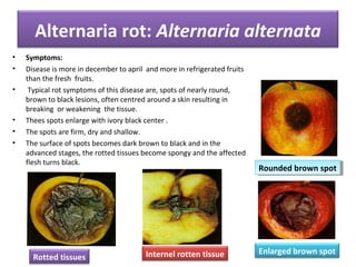 post harvest diseases of apple banana and fig.pptx [autosaved] ata | PPT