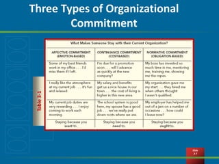 PPTPPTOrganizationalChap003_Detailed.ppt