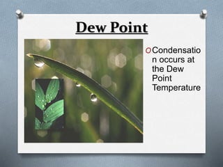 Dew Point 
OCondensatio 
n occurs at 
the Dew 
Point 
Temperature 
 