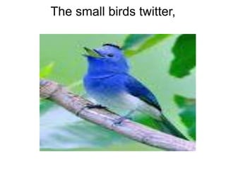 The small birds twitter, 
 