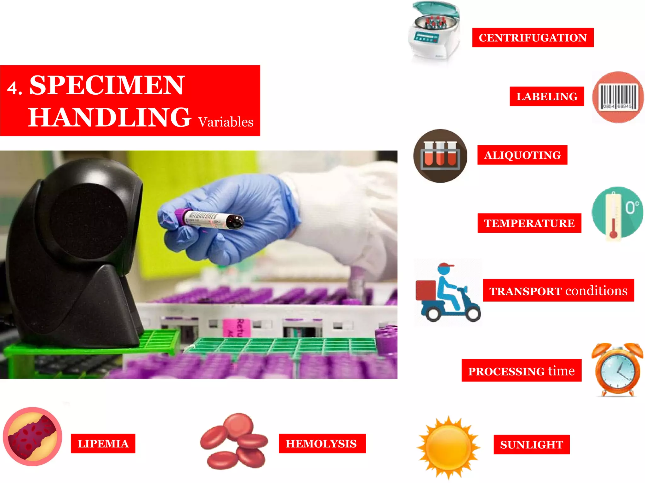 CENTRIFUGATION
LABELING
ALIQUOTING
TEMPERATURE
TRANSPORT conditions
PROCESSING time
SUNLIGHTLIPEMIA HEMOLYSIS
4. SPECIMEN
HANDLING Variables
 