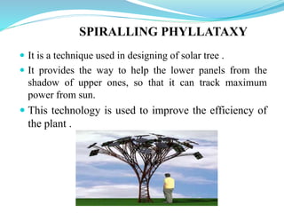 SPIRALLING PHYLLATAXY
 It is a technique used in designing of solar tree .
 It provides the way to help the lower panels from the
shadow of upper ones, so that it can track maximum
power from sun.
 This technology is used to improve the efficiency of
the plant .
 