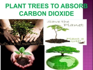 PLANT TREES TO ABSORB
CARBON DIOXIDE