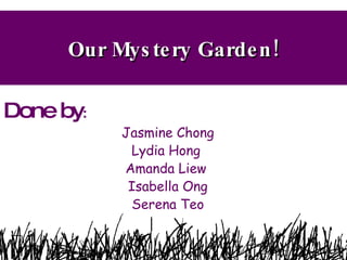 Our Mystery Garden! Done by : Jasmine Chong Lydia Hong   Amanda Liew  Isabella Ong Serena Teo 