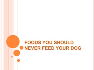 FOODS YOU SHOULD
NEVER FEED YOUR DOG
 