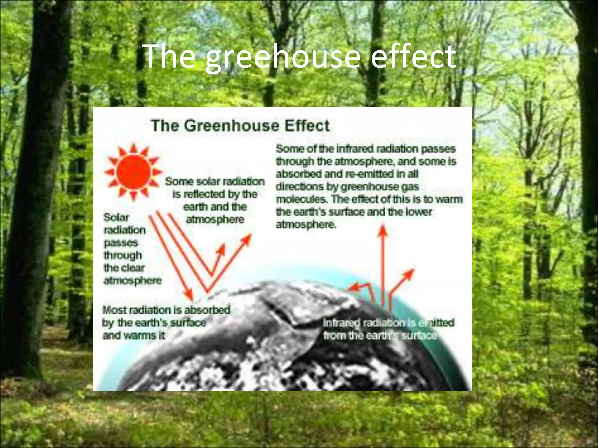 The greehouse effect
 