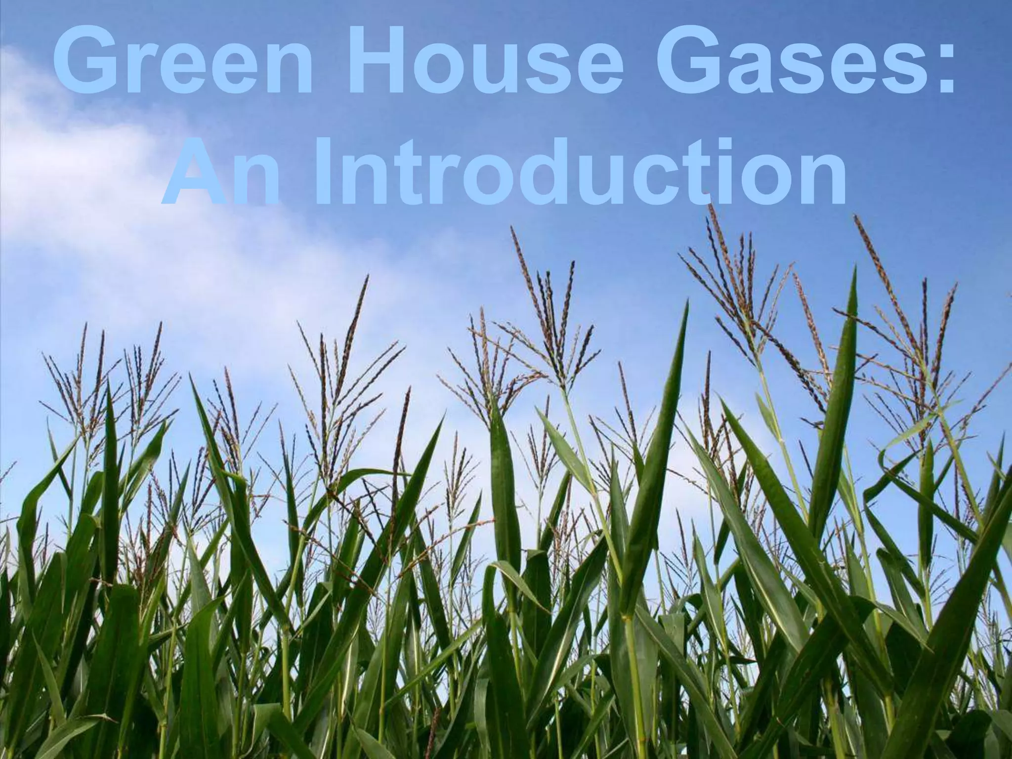 Green House Gases:
  An Introduction
 