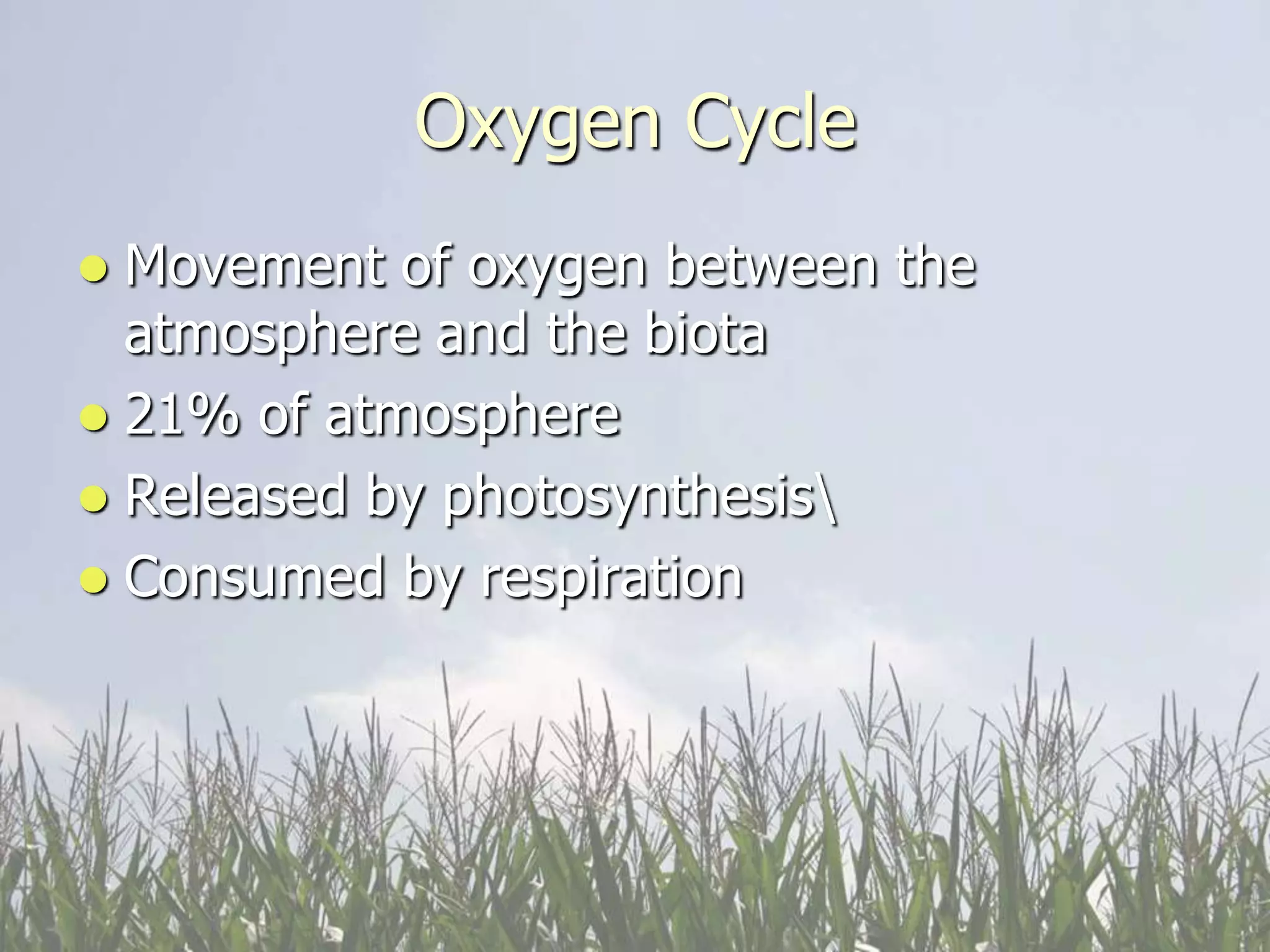 Oxygen Cycle
 Movement of oxygen between the
  atmosphere and the biota
 21% of atmosphere
 Released by photosynthesis
 Consumed by respiration
 