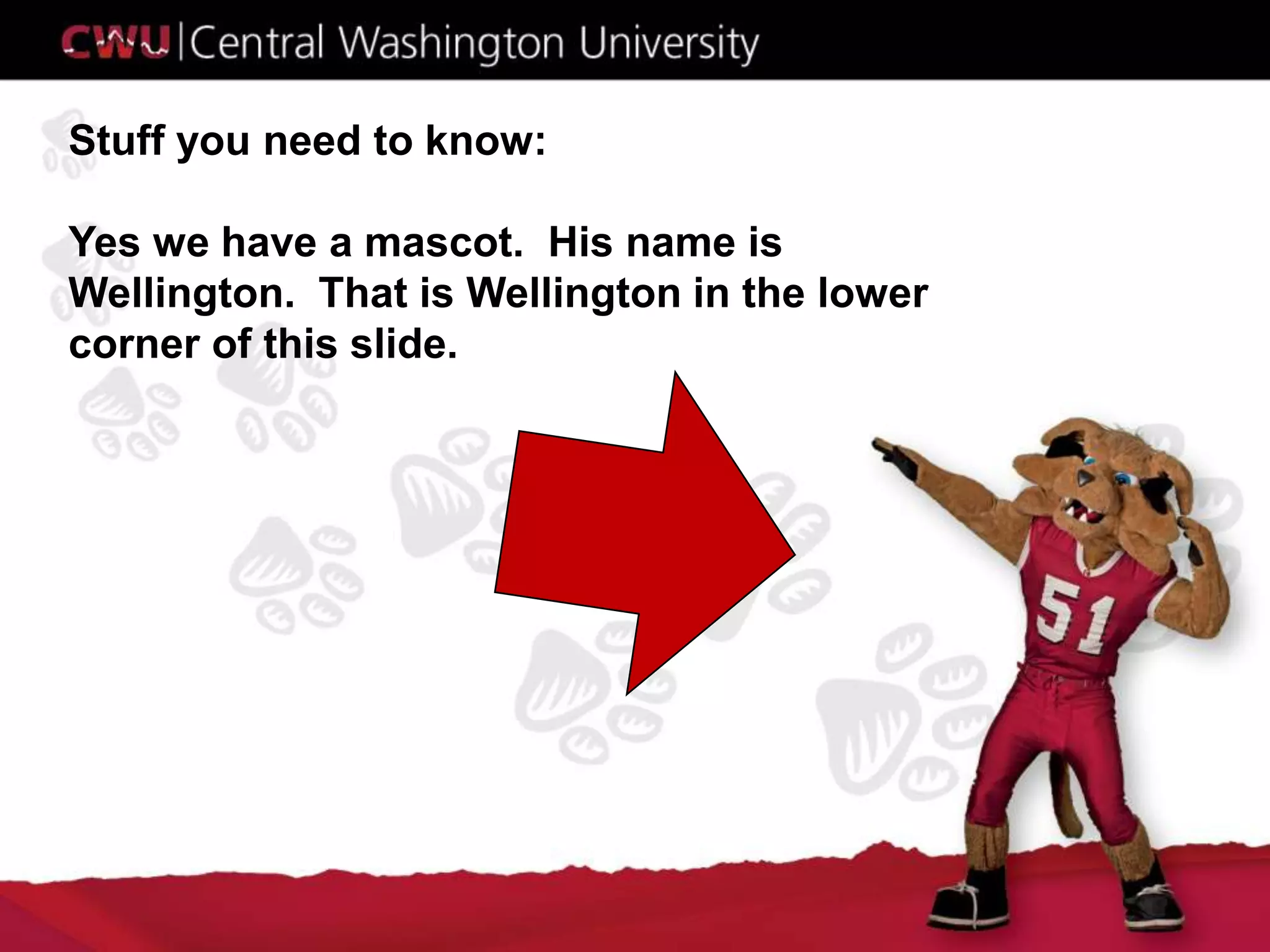 Stuff you need to know:
Yes we have a mascot. His name is
Wellington. That is Wellington in the lower
corner of this slide.
 