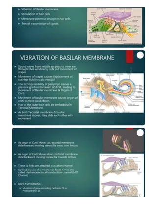 inner ear anatomy and physiology of hearing | PDF