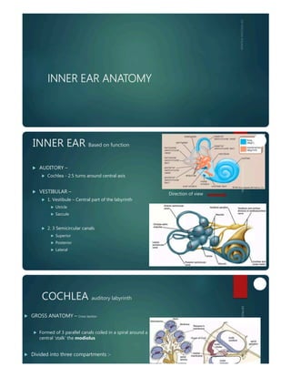inner ear anatomy and physiology of hearing | PDF