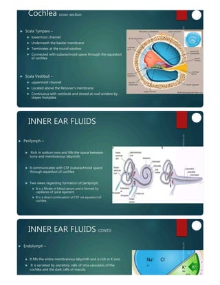 inner ear anatomy and physiology of hearing | PDF