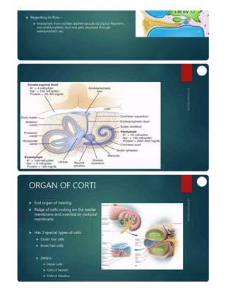inner ear anatomy and physiology of hearing | PDF