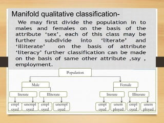 Manifold qualitative classification-
Population
Male Female
literate literateIlliterate Illiterate
empl
oyed
unem
ployed
empl
oyed
unempl
oyed
empl
oyed
empl
oyed
unem
ployed
unempl
oyed
 