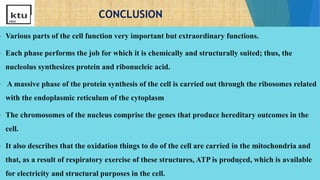 CONCLUSION
 Various parts of the cell function very important but extraordinary functions.
 Each phase performs the job for which it is chemically and structurally suited; thus, the
nucleolus synthesizes protein and ribonucleic acid.
 A massive phase of the protein synthesis of the cell is carried out through the ribosomes related
with the endoplasmic reticulum of the cytoplasm
 The chromosomes of the nucleus comprise the genes that produce hereditary outcomes in the
cell.
 It also describes that the oxidation things to do of the cell are carried in the mitochondria and
that, as a result of respiratory exercise of these structures, ATP is produced, which is available
for electricity and structural purposes in the cell.
19
 