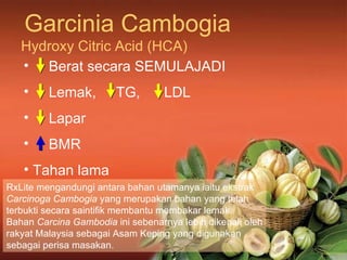Garcinia Cambogia Hydroxy Citric Acid (HCA) <ul><li>Berat secara SEMULAJADI </li></ul><ul><li>Lemak,  TG,  LDL </li></ul><...