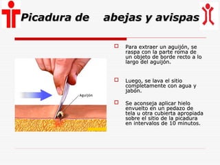 ppt primeros auxilios- SALUD OCUPACIONAL | PPT