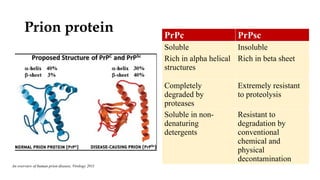 Prpc Overview prions hypothesis in neurodegeneration topic | PPTX