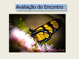 Avaliação do Encontro  