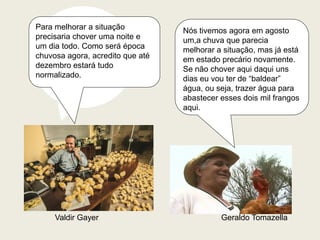 Valdir Gayer 
Para melhorar a situação precisaria chover uma noite e um dia todo. Como será época chuvosa agora, acredito que até dezembro estará tudo normalizado. 
Nós tivemos agora em agosto um,a chuva que parecia melhorar a situação, mas já está em estado precário novamente. Se não chover aqui daqui uns dias eu vou ter de “baldear” água, ou seja, trazer água para abastecer esses dois mil frangos aqui. 
Geraldo Tomazella  