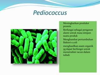 Pediococcus
 Meningkatkan produksi
protein
 Berfungsi sebagai pengawet
alami untuk masa simpan
suatu produk
 Menghambat pertumbuhan
Bakteri e.coli
 menghasilkan asam organik
yg dapat berfungsi untuk
menetralisir racun dalam
tubuh
 