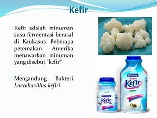 Kefir
 Kefir adalah minuman
susu fermentasi berasal
di Kaukasus. Beberapa
peternakan Amerika
menawarkan minuman
yang disebut "kefir“
 Mengandung Bakteri
Lactobacillus kefiri
 
