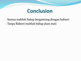 Conclusion
 Semua mahluk hidup bergantung dengan bakteri
 Tanpa Bakteri mahluk hidup akan mati
 