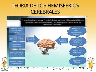 TEORIA DE LOS HEMISFERIOS
CEREBRALES
 
