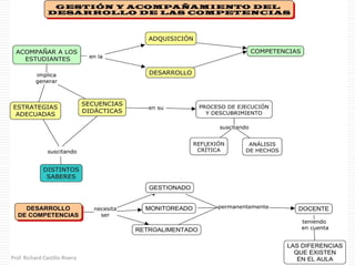Prof. Richard Castillo Rivera
 