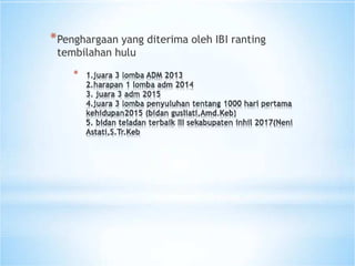 Ppt profil ibi | PDF