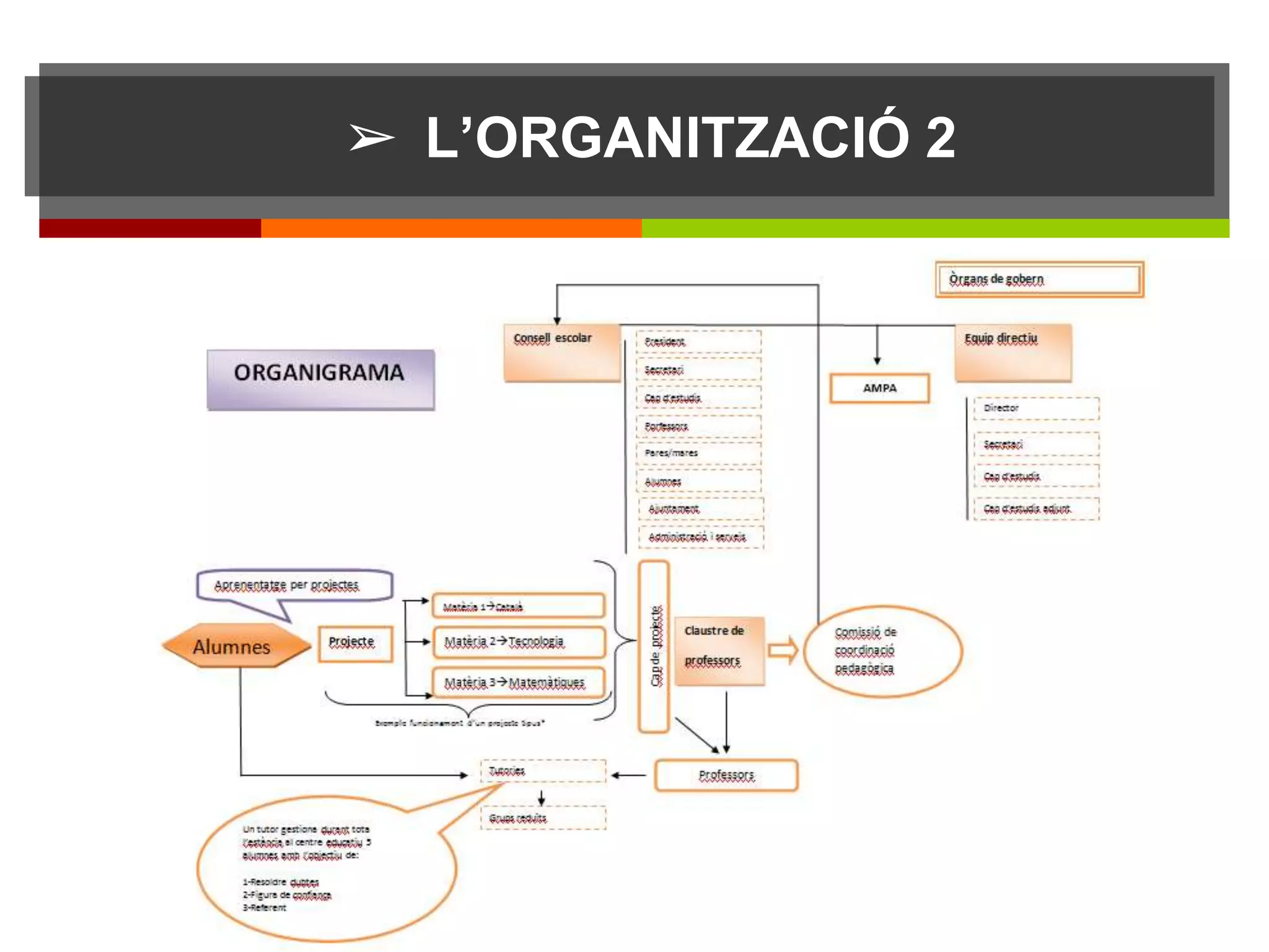 ➢ L’ORGANITZACIÓ 2
 