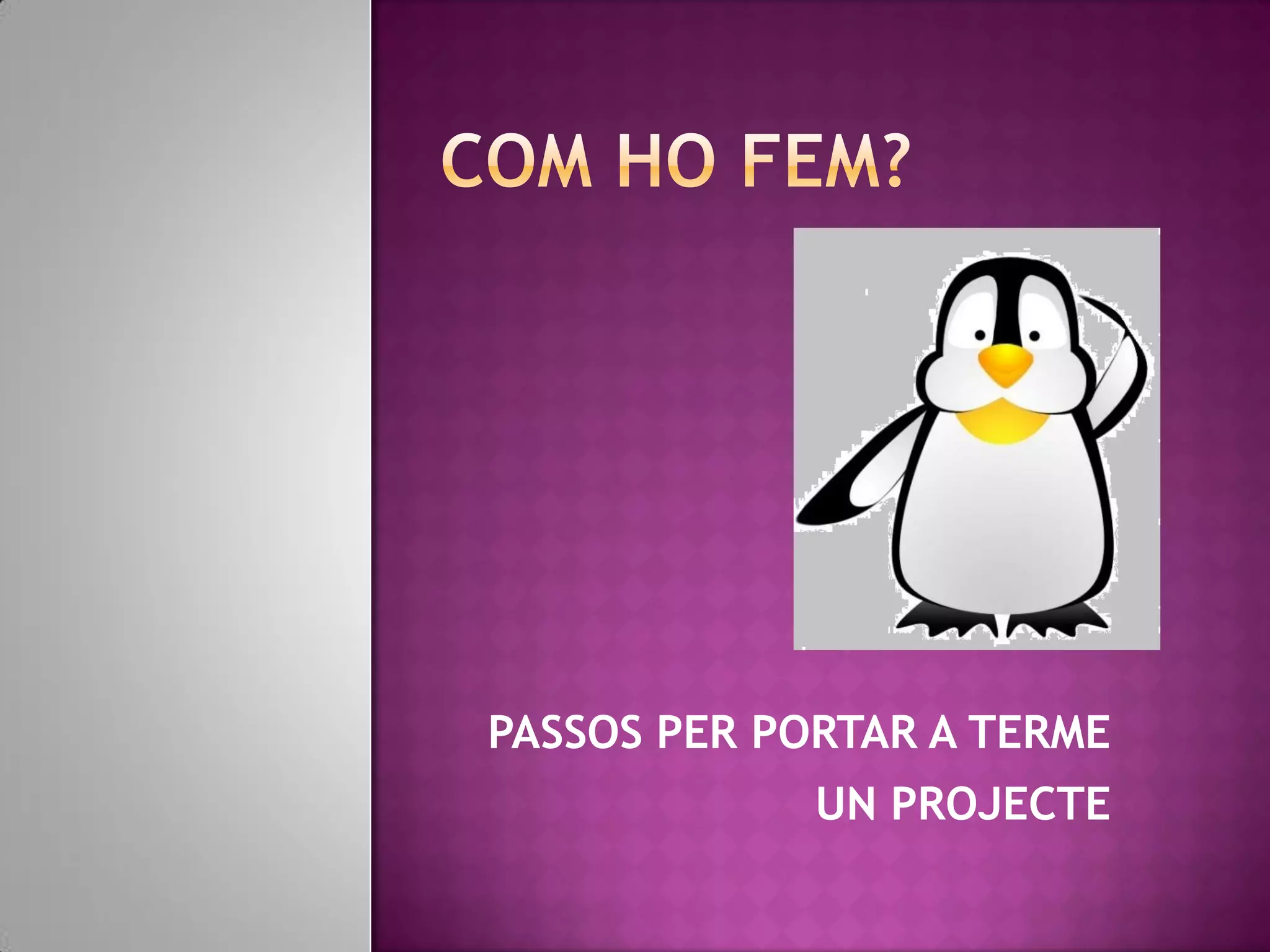 PASSOS PER PORTAR A TERME
             UN PROJECTE
 