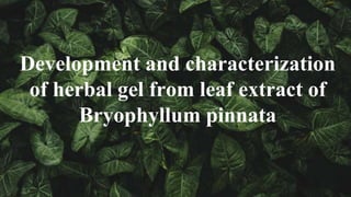 Development and characterization
of herbal gel from leaf extract of
Bryophyllum pinnata
 
