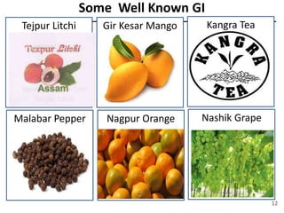 Some Well Known GI
Tejpur Litchi Gir Kesar Mango Kangra Tea
Malabar Pepper Nagpur Orange Nashik Grape
12
 