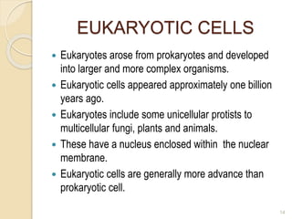 EUKARYOTIC CELLS
 Eukaryotes arose from prokaryotes and developed
into larger and more complex organisms.
 Eukaryotic cells appeared approximately one billion
years ago.
 Eukaryotes include some unicellular protists to
multicellular fungi, plants and animals.
 These have a nucleus enclosed within the nuclear
membrane.
 Eukaryotic cells are generally more advance than
prokaryotic cell.
14
 