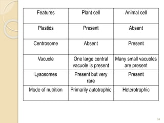 Features Plant cell Animal cell
Plastids Present Absent
Centrosome Absent Present
Vacuole One large central
vacuole is present
Many small vacuoles
are present
Lysosomes Present but very
rare
Present
Mode of nutrition Primarily autotrophic Heterotrophic
34
 