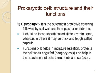 Prokaryotic cell: structure and their
functions
1) Glycocalyx :- It is the outermost protective covering
followed by cell wall and then plasma membrane.
 It could be loose sheath called slime layer in some,
whereas in others it may be thick and tough called
capsule.
 Functions :- It helps in moisture retention, protects
the cell when engulfed (phagocytosis) and help in
the attachment of cells to nutrients and surfaces.
8
 