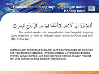 LOGO 
Pemanfaatan Sumber Daya Lingkungan dalam 
Konsep Islam 
Diantara salah satu tumbuh-tumbuhan yang baik yang diciptakan oleh Allah 
swt. yaitu tanaman ketapang (Terminalia catappa L.) yang telah diketahui 
memiliki banyak manfaat, baik bagi kesehatan manusia, maupun manfaat 
lain yang dampaknya bisa dirasakan oleh manusia. 
www.themegallery.com 
 