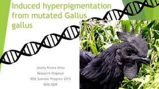 Induced hyperpigmentation
from mutated Gallus
gallus
Joanly Rivera Ortiz
Research Proposal
RISE Summer Program 2015
BIOL3009
 