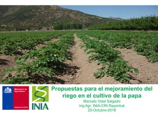 Propuestas para el mejoramiento del
riego en el cultivo de la papa
Marcelo Vidal Salgado
Ing Agr. INIA-CRI Rayentué
25-Octubre-2018
 