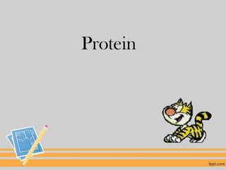 Protein
 