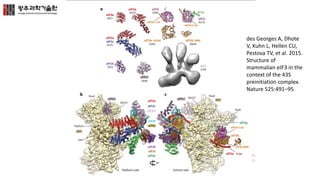 des Georges A, Dhote
V, Kuhn L, Hellen CU,
Pestova TV, et al. 2015.
Structure of
mammalian eIF3 in the
context of the 43S
preinitiation complex.
Nature 525:491–95
 
