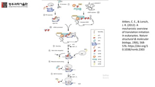 Aitken, C. E., & Lorsch,
J. R. (2012). A
mechanistic overview
of translation initiation
in eukaryotes. Nature
structural & molecular
biology, 19(6), 568-
576. https://doi.org/1
0.1038/nsmb.2303
 