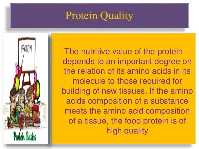 High Quality Protein Food Sources High Quality Protein Food Sources