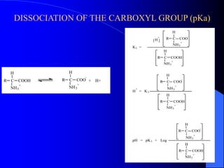 Protein R Group Pka ppt proteins.ppt
