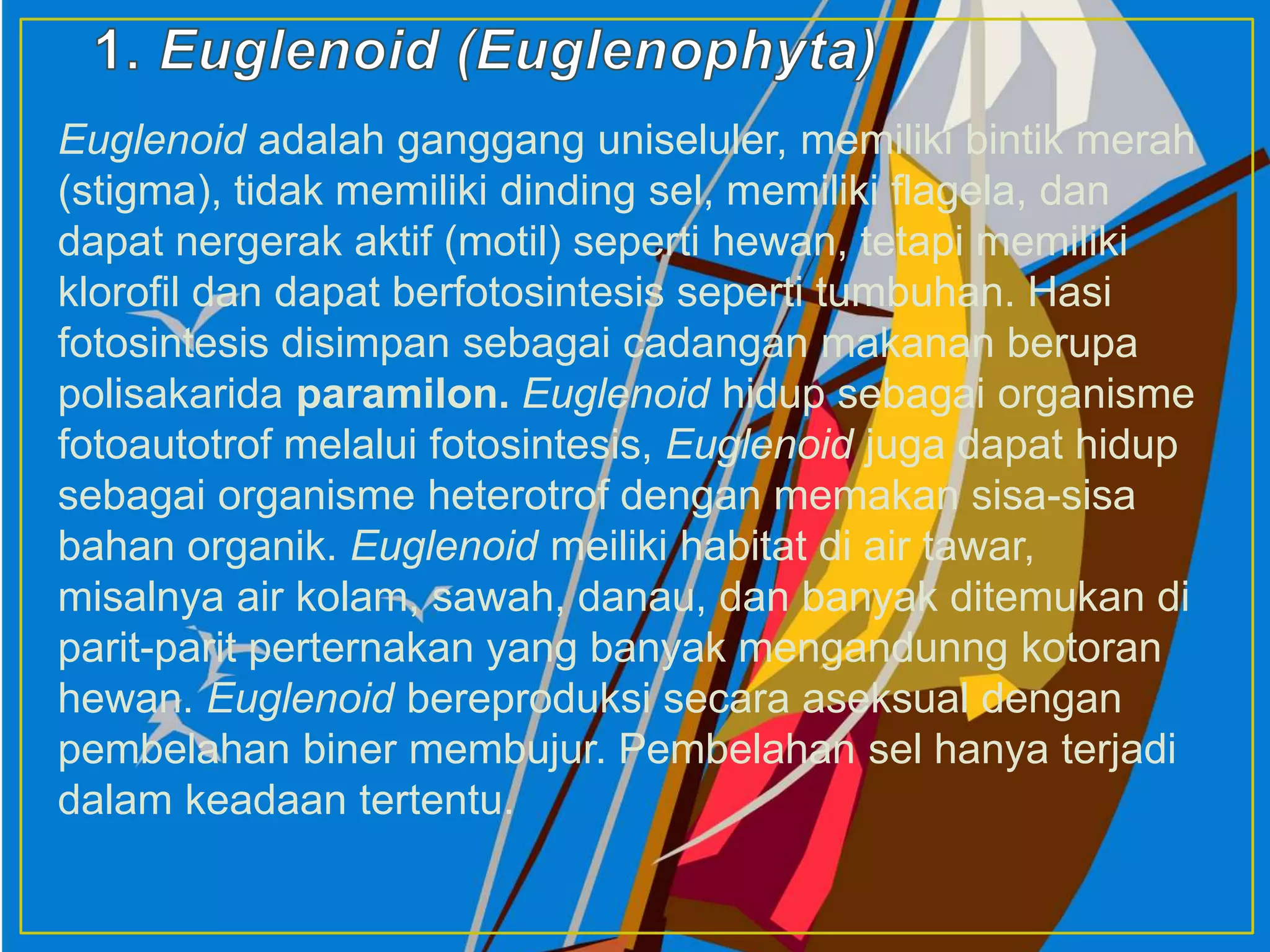Euglenoid adalah ganggang uniseluler, memiliki bintik merah
(stigma), tidak memiliki dinding sel, memiliki flagela, dan
dapat nergerak aktif (motil) seperti hewan, tetapi memiliki
klorofil dan dapat berfotosintesis seperti tumbuhan. Hasi
fotosintesis disimpan sebagai cadangan makanan berupa
polisakarida paramilon. Euglenoid hidup sebagai organisme
fotoautotrof melalui fotosintesis, Euglenoid juga dapat hidup
sebagai organisme heterotrof dengan memakan sisa-sisa
bahan organik. Euglenoid meiliki habitat di air tawar,
misalnya air kolam, sawah, danau, dan banyak ditemukan di
parit-parit perternakan yang banyak mengandunng kotoran
hewan. Euglenoid bereproduksi secara aseksual dengan
pembelahan biner membujur. Pembelahan sel hanya terjadi
dalam keadaan tertentu.
 