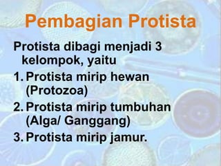 Pembagian Protista
Protista dibagi menjadi 3
kelompok, yaitu
1. Protista mirip hewan
(Protozoa)
2. Protista mirip tumbuhan
(Alga/ Ganggang)
3. Protista mirip jamur.
 